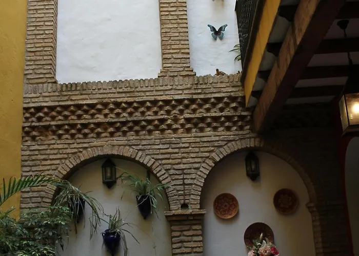 Lojo Conil De La Frontera